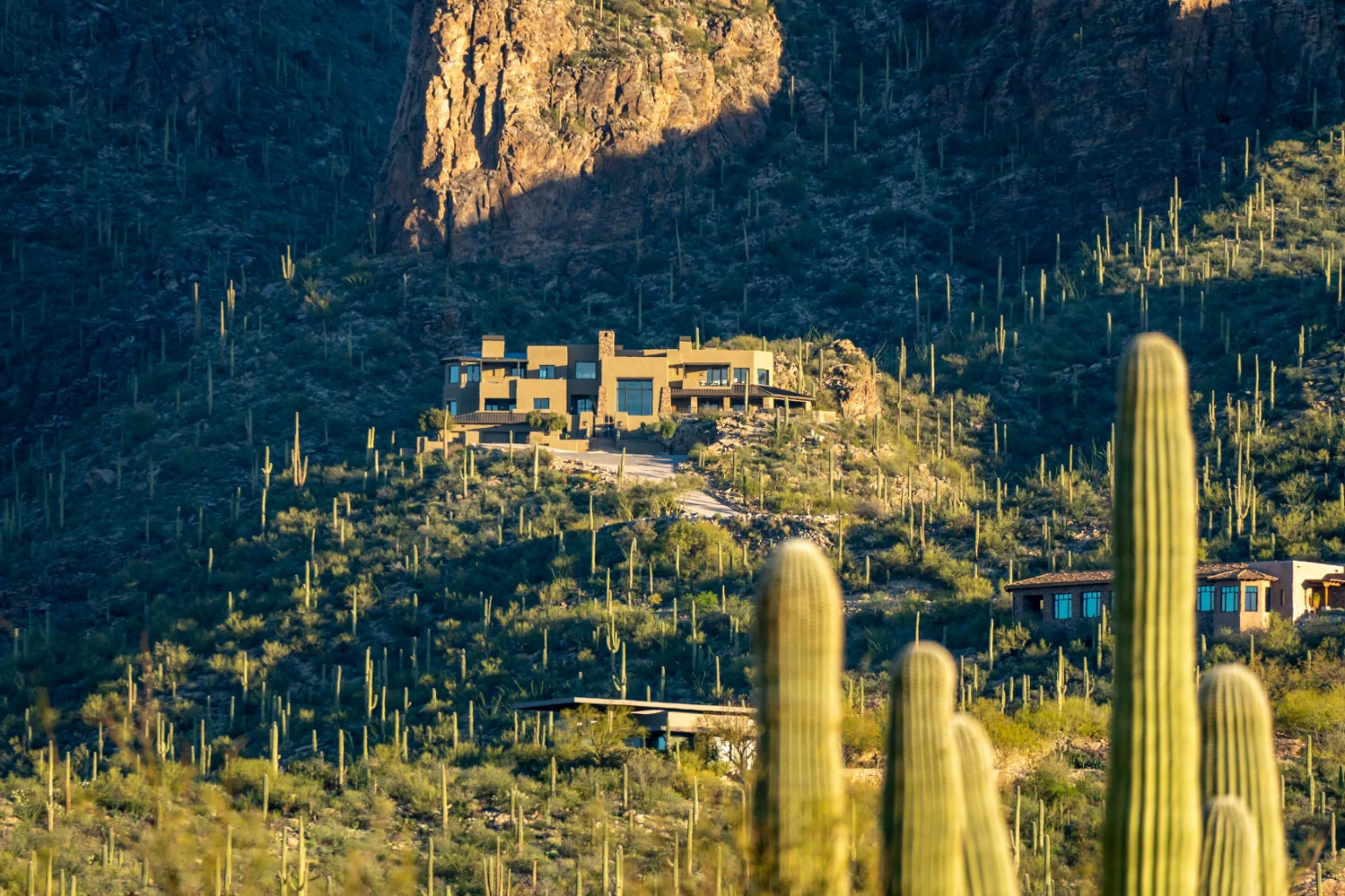 Homes on a desert hillside with saguaro cactus