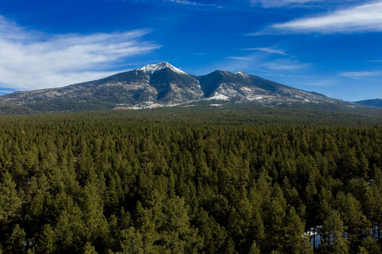 San Francisco Peaks above the pine forest near Flagstaff, Arizona