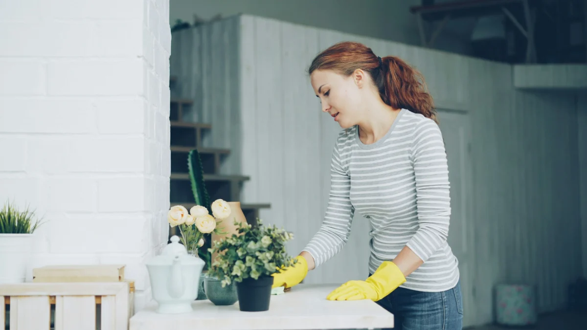 What Is Included in Standard Residential Cleaning?