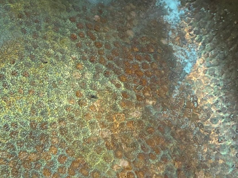 Hammered copper sink covered in green and brown tarnish and white scale before a cleaning in Chino Valley, AZ