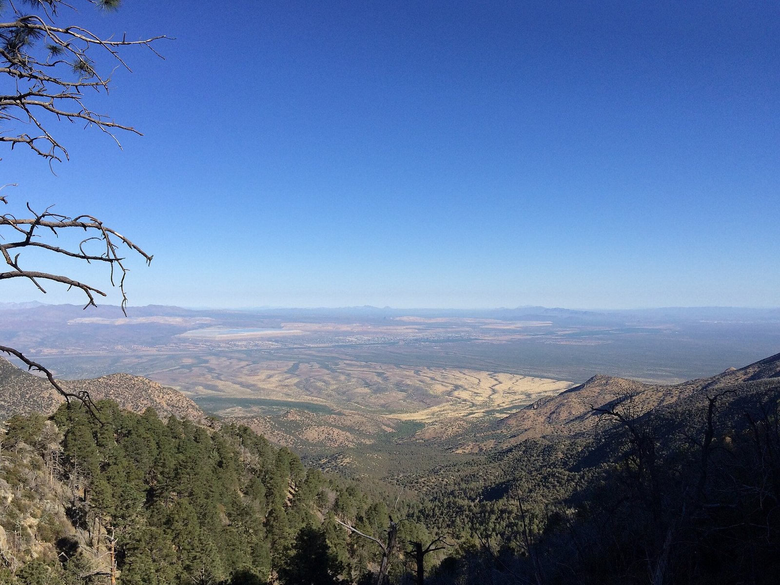 View over Green Valley, Arizona from a pine-covered ridge in the Santa Rita Mountains
