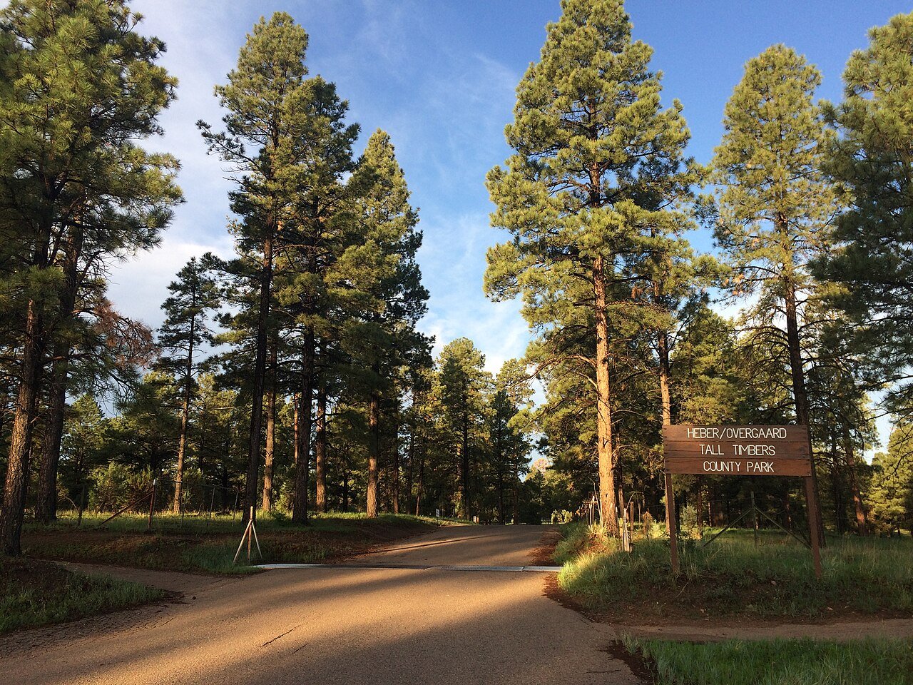 Entrance sign for Tall Timbers County Park among tall pines in Heber-Overgaard, Arizona