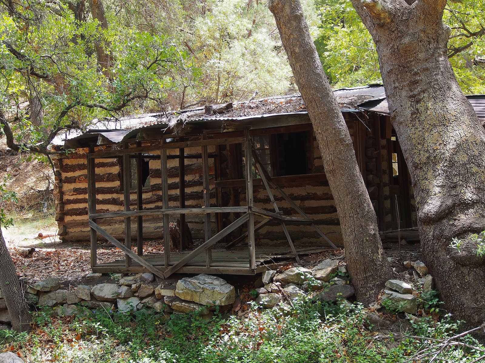 Old log cabin under trees at the Ramsey Canyon Preserve near Hereford, Arizona