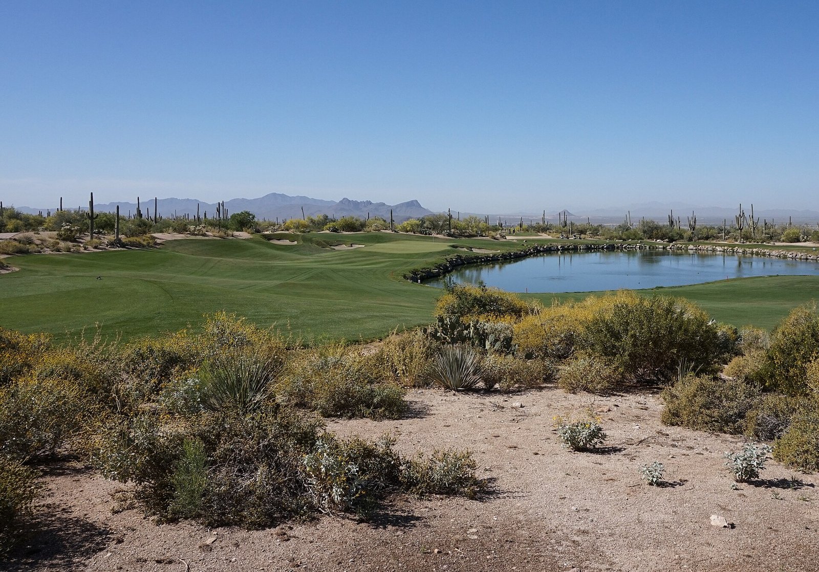 Golf course fairway and pond with desert plants at Dove Mountain in Marana, Arizona