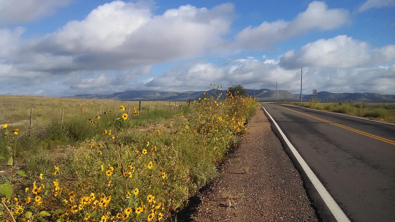 Two-lane highway through grassland with yellow wildflowers and distant mountains near Paulden, Arizona
