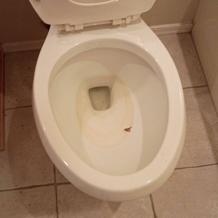 Toilet bowl with a stain ring and debris before cleaning in Anthem, AZ